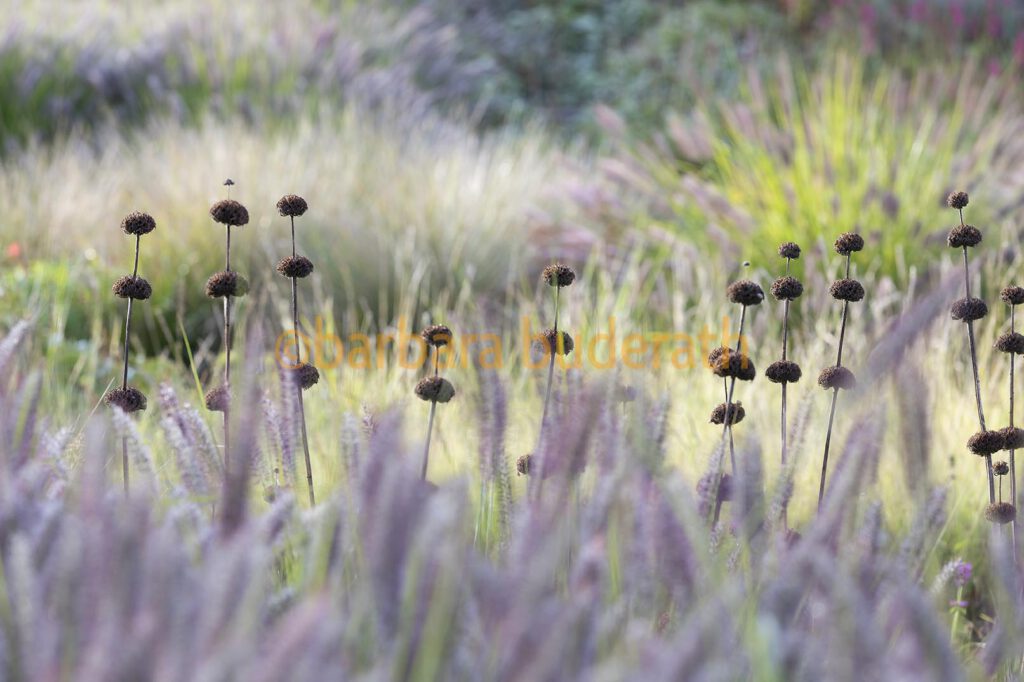 https://ww.buderath-fotodesign.de